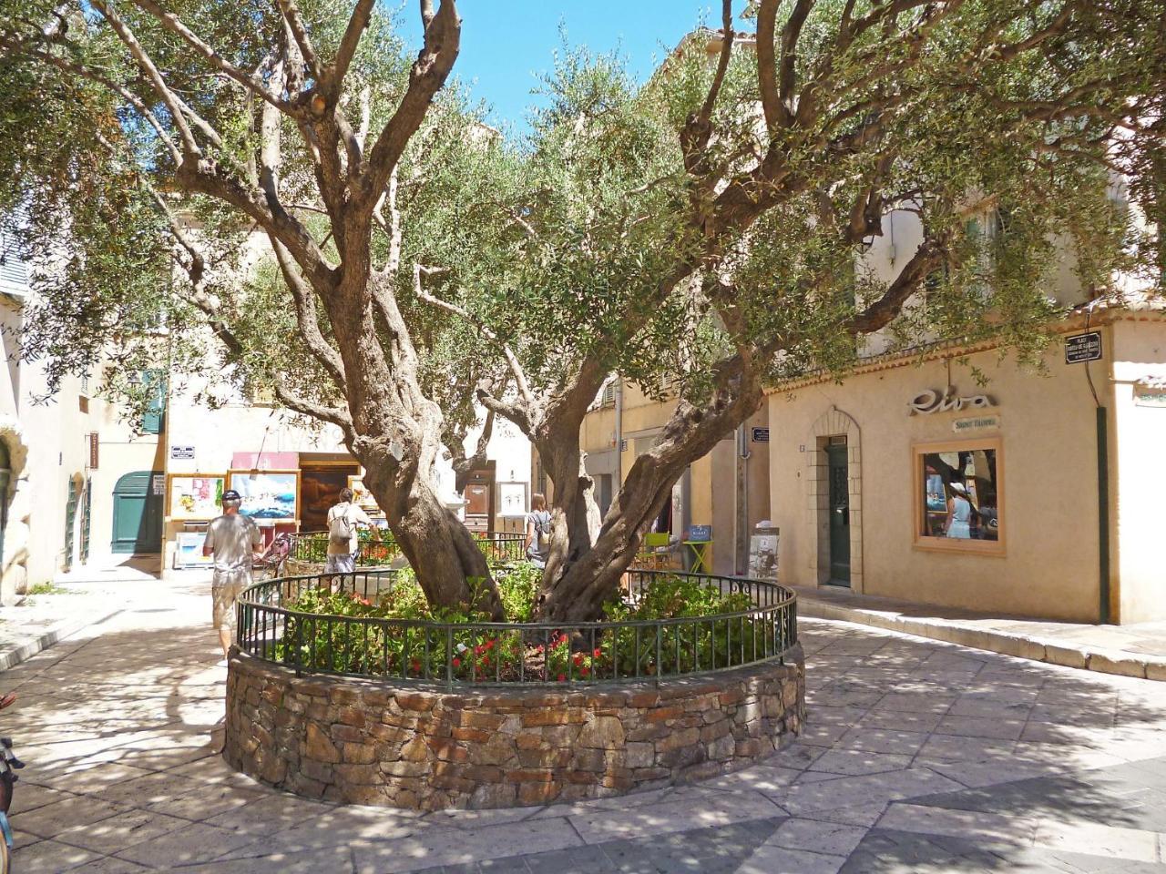 Apartment Eden Parc-4 By Interhome Saint-Tropez Buitenkant foto